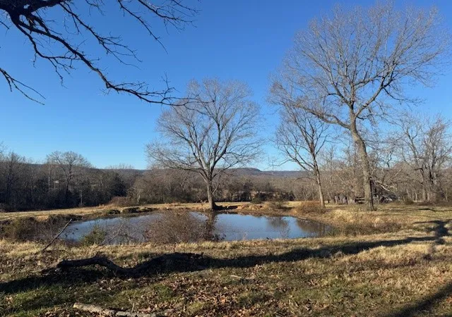 1st image of Fork Creek, Harrison, AR 72601 | MLS# 1331490