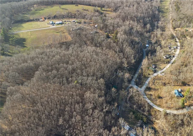 29th image of 15360 N Wimpy Jones Rd, Garfield, AR 72732 | MLS# 1331511