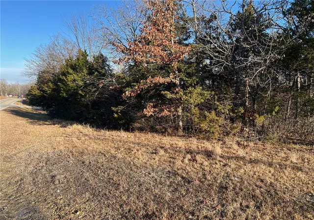 Photo 3 of Land for sale at Tbd Diamond Blvd, Diamond City, AR 72630 | MLS# 1331977 | Listing updated on 2026-01-14