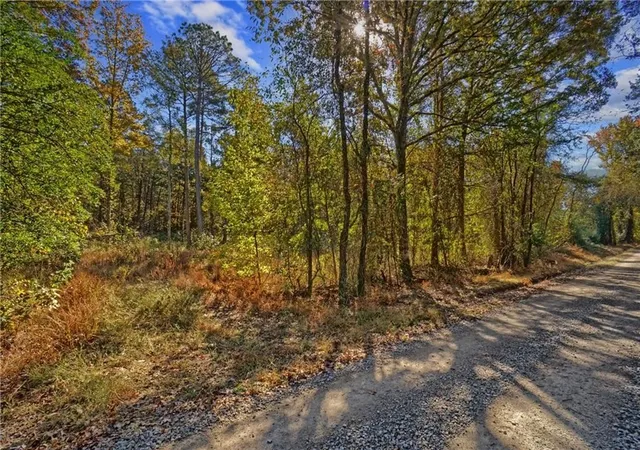 Homes for sale in Dover, AR | Lot 6 Melvin Ln, Dover, AR 72837 | MLS# 1331991