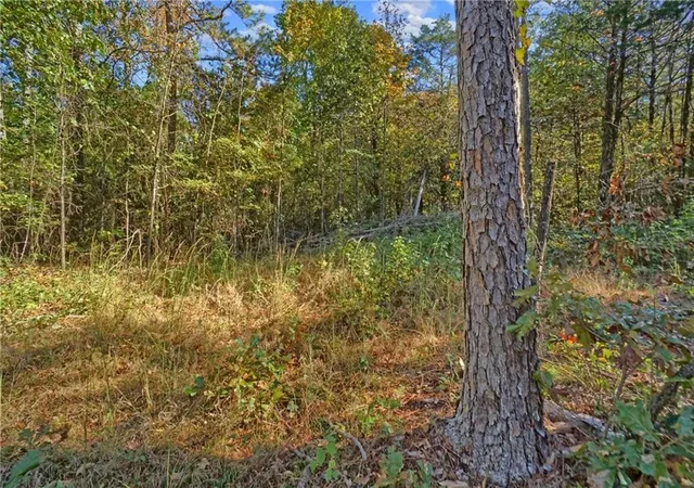 Homes for sale in Dover, AR | Lot 6 Melvin Ln, Dover, AR 72837 | MLS# 1331991