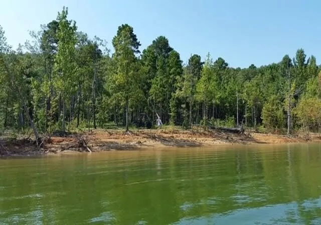 20th image of 149 Driftwood Trl, Greers Ferry, AR 72067 | MLS# 1331495