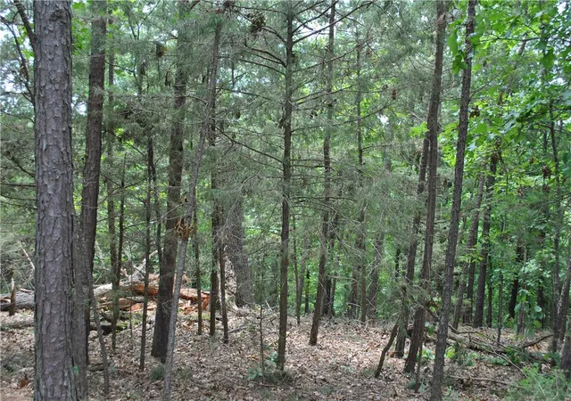 Homes for sale in Rogers, AR | Lots 87-92 Mockingbird Ln, Rogers, AR 72756 | MLS# 1332512