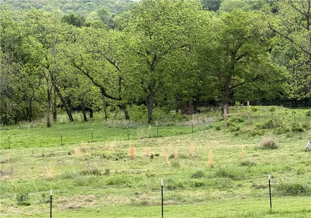 52nd image of 14832 N Jackson Hwy, Fayetteville, AR 72704 | MLS# 1332178