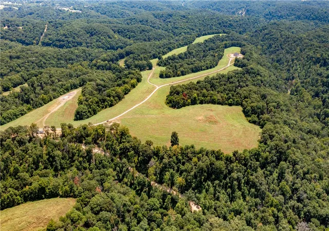Homes for sale in Pineville, MO | Neon Sky Dr #Parcel 3, Pineville, MO 64856 | MLS# 1332877