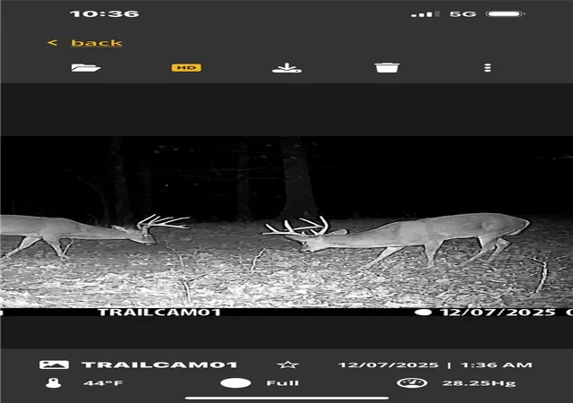 4th image of Tbd Hwy 23, Huntsville, AR 72740 | MLS# 1332937