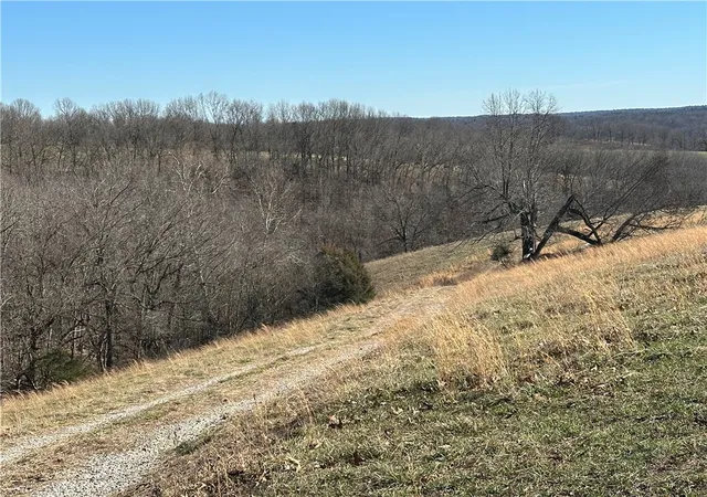 53rd image of Tbd Hwy 23, Huntsville, AR 72740 | MLS# 1332937