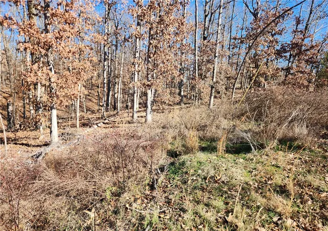 Homes for sale in Bella Vista, AR | Kent Dr, Bella Vista, AR 72714 | MLS# 1333082