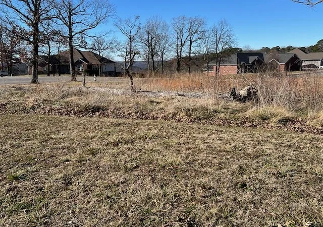4th image of 1 Bluff Ln, Holiday Island, AR 72631 | MLS# 1333182