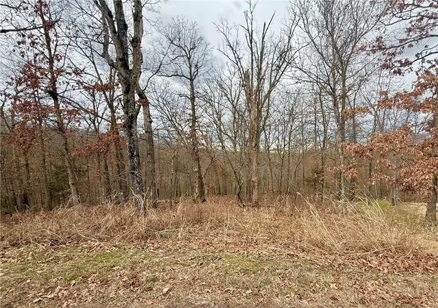 1st image of Sutherland Ln, Bella Vista, AR 72714 | MLS# 1332958