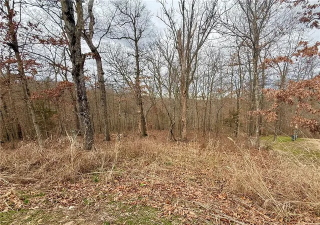 3rd image of Sutherland Ln, Bella Vista, AR 72714 | MLS# 1332958