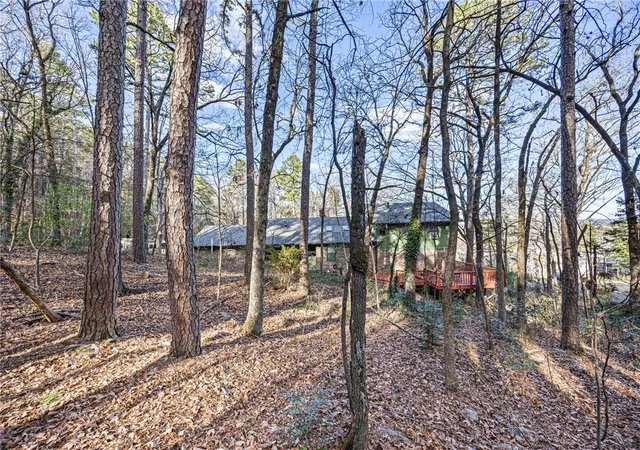 49th image of 316 Craigwood Cir, Russellville, AR 72801 | MLS# 1333296