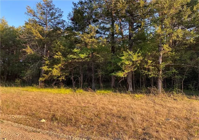 Homes for sale in Diamond City, AR | Lot 10 Greenwood Dr, Diamond City, AR 72644 | MLS# 1333595