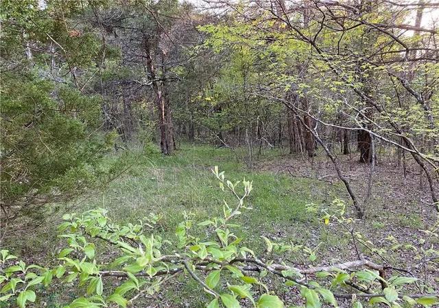 Homes for sale in Diamond City, AR | Lot 10 Greenwood Dr, Diamond City, AR 72644 | MLS# 1333595