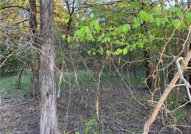 Photo 3 of Land for sale at Lot 10 Greenwood Dr, Diamond City, AR 72630 | MLS# 1333595 | Listing updated on 2026-04-30