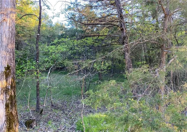 Homes for sale in Diamond City, AR | Lot 10 Greenwood Dr, Diamond City, AR 72644 | MLS# 1333595