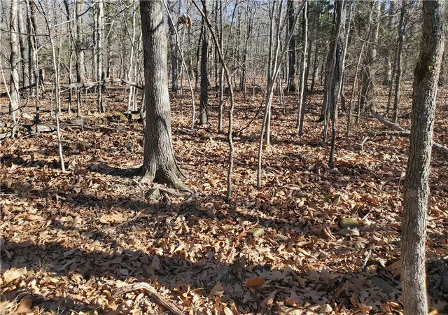 1st image of 15776 Hwy 74 E Tract 1, Marshall, AR 72650 | MLS# 1333759