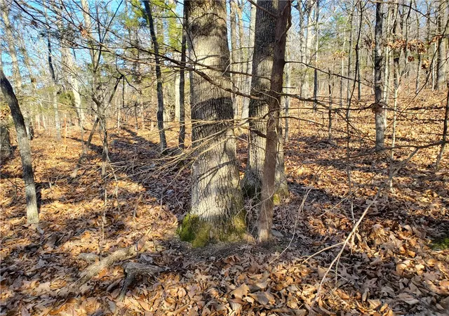 2nd image of 15776 Hwy 74 E Tract 1, Marshall, AR 72650 | MLS# 1333759