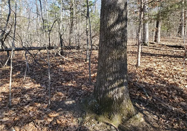 3rd image of 15776 Hwy 74 E Tract 1, Marshall, AR 72650 | MLS# 1333759