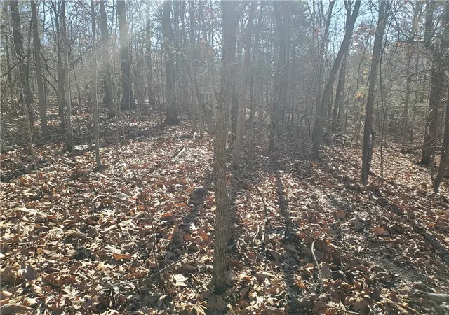 4th image of 15776 Hwy 74 E Tract 1, Marshall, AR 72650 | MLS# 1333759