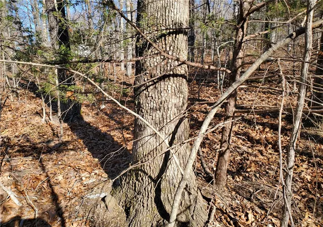 5th image of 15776 Hwy 74 E Tract 1, Marshall, AR 72650 | MLS# 1333759