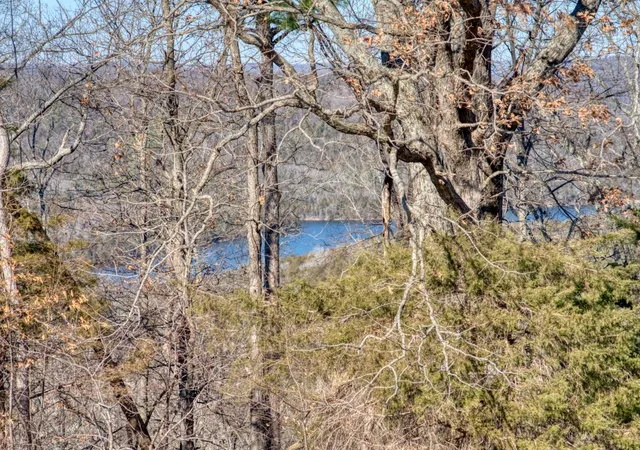 Homes for sale in Eureka Springs, AR | 347 Ridgeline Rd, Eureka Springs, AR 72632 | MLS# 1333784