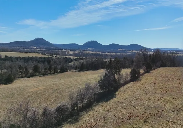 Photo 3 of Single family home for sale at 1395 County Rd 403, Berryville, AR 72616 | MLS# 1333516 | Listing updated on 2026-07-17