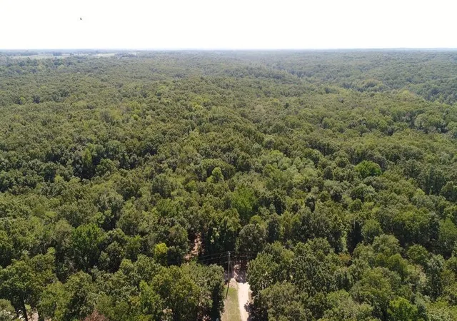 image of 55600 E 319 Trl, Jay, OK 74346 | MLS# 1333897