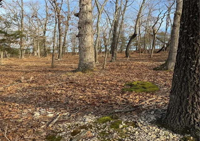 Homes for sale in Bella Vista, AR | Lot 76 Shady Glen Rd, Bella Vista, AR 72714 | MLS# 1333907