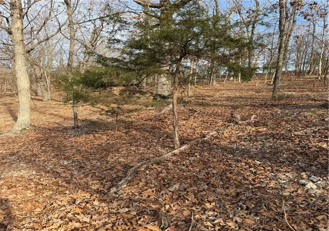 Homes for sale in Bella Vista, AR | Lot 76 Shady Glen Rd, Bella Vista, AR 72714 | MLS# 1333907