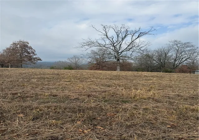 3rd image of 1687 Cr 3581, Lamar, AR 72846 | MLS# 1333700