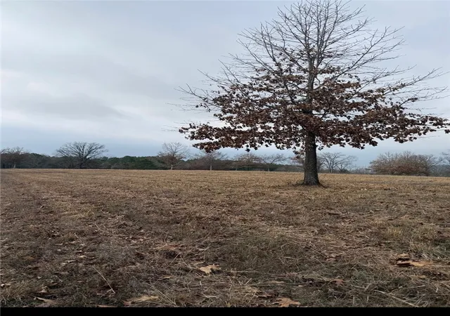 4th image of 1687 Cr 3581, Lamar, AR 72846 | MLS# 1333700