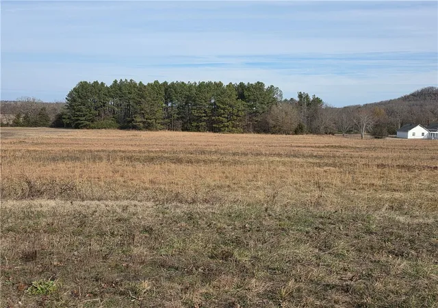 2nd image of Tbd Hwy 22, Charleston, AR 72933 | MLS# 1334021