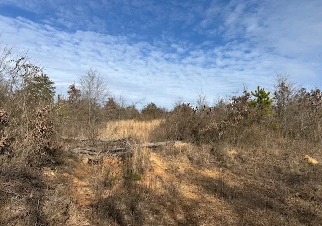 15th image of Moss Creek Rd, Danville, AR 72833 | MLS# 1333844