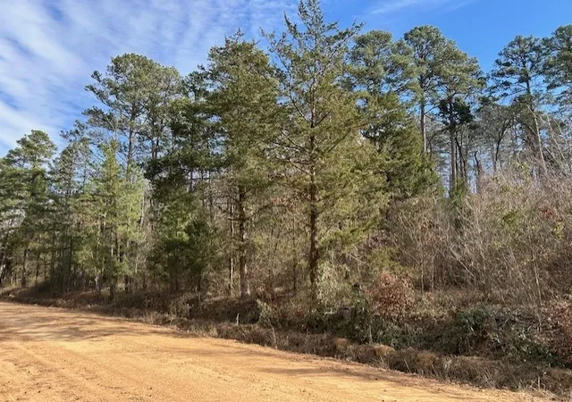 1st image of Moss Creek Rd, Danville, AR 72833 | MLS# 1333844
