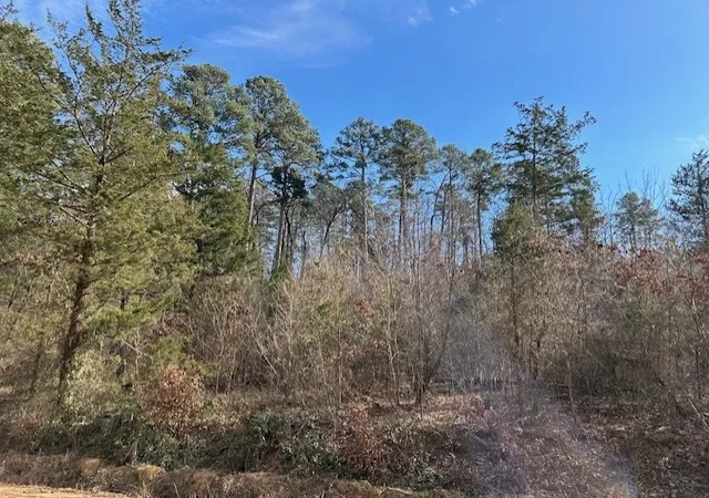 2nd image of Moss Creek Rd, Danville, AR 72833 | MLS# 1333844