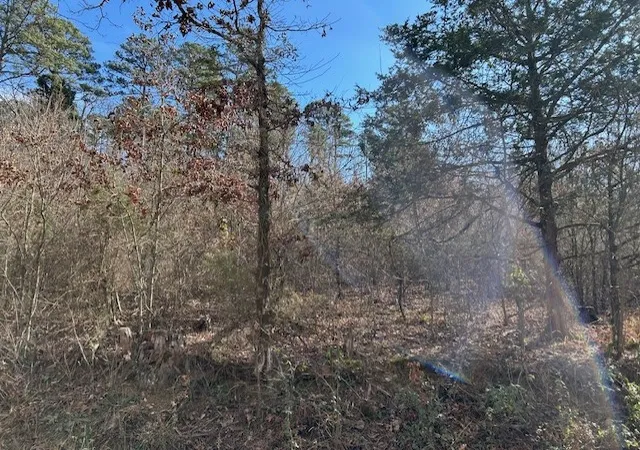 Photo 3 of Land for sale at Moss Crk Rd, Danville, AR 72833 | MLS# 1333844 | Listing updated on 2026-08-02