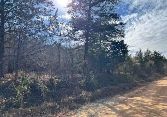 Photo 4 of House for sale at Moss Crk Rd, Danville, AR 72833 | MLS# 1333844 | Listing updated on 2026-08-02
