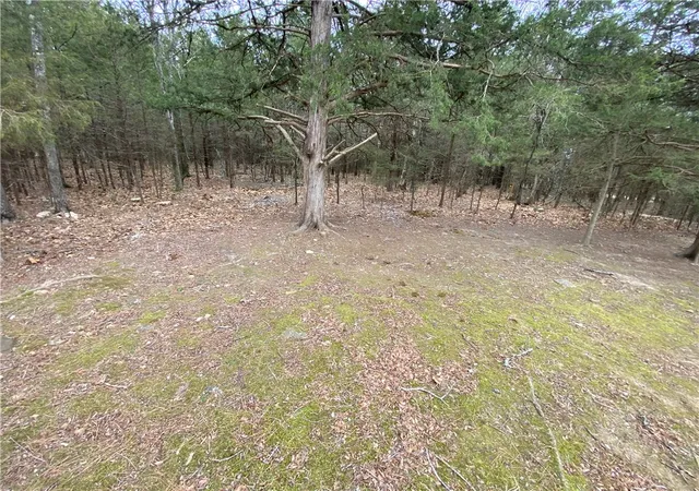 Homes for sale in Diamond City, AR | Pine St, Diamond City, AR 72644 | MLS# 1334035