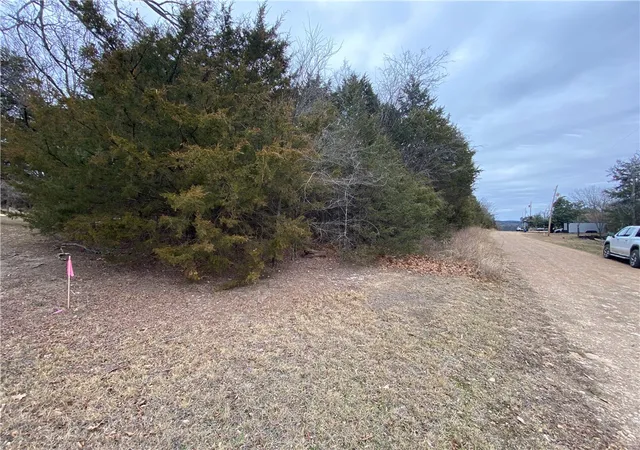 Homes for sale in Diamond City, AR | Pine St, Diamond City, AR 72644 | MLS# 1334035