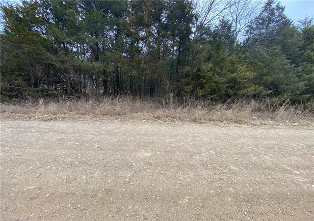 Homes for sale in Diamond City, AR | Pine St, Diamond City, AR 72644 | MLS# 1334035