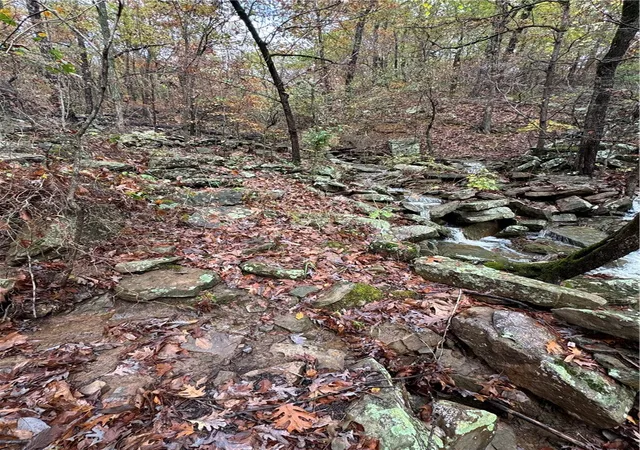 3rd image of 18995 Skylight Mountain Rd, Canehill, AR 72717 | MLS# 1334048
