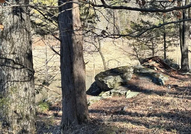 Photo 3 of Land for sale at Lot 13 Cr 1526, Eureka Springs, AR 72632 | MLS# 1334229 | Listing updated on 2026-05-01