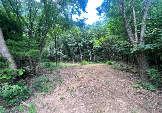 5th image of Hwy 374, Jasper, AR 72641 | MLS# 1334478