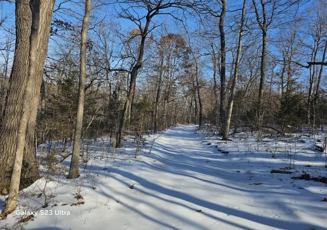 5th image of Tbd Nc 3510, Western Grove, AR 72685 | MLS# 1334633