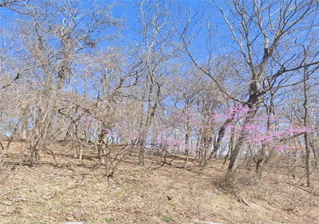 Homes for sale in Holiday Island, AR | 516 Acres Summit Dr, Holiday Island, AR 72631 | MLS# 1334763