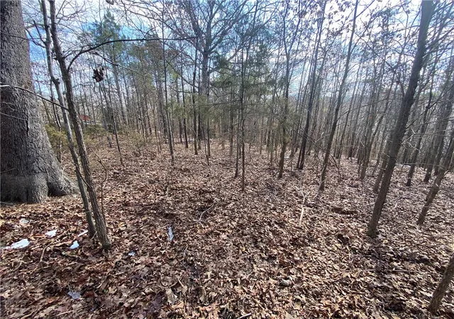 1st image of Nc 4301, Hasty, AR 72640 | MLS# 1334792