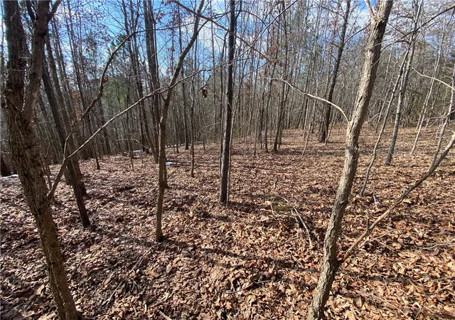 4th image of Nc 4301, Hasty, AR 72640 | MLS# 1334792