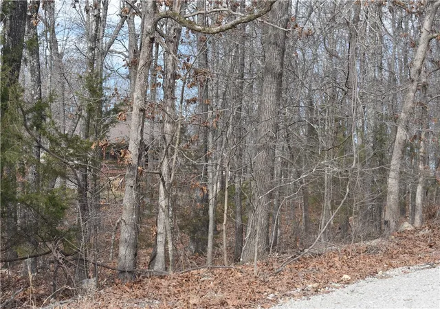 2nd image of Lot 24 Cr 984, Mountain Home, AR 72653 | MLS# 1335023