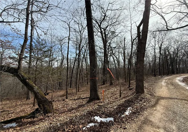 Homes for sale in Eureka Springs, AR | Tract 3 Cardinal Ridge Rd, Eureka Springs, AR 72632 | MLS# 1335088